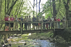 Terrou_0041