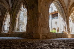 Terrou_0124
