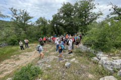 Terrou_0172