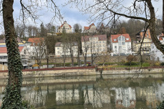 IMG_6952