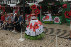 IMG_4763-Copie